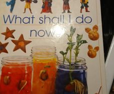 Ushborne, hardback, what shall i do now?