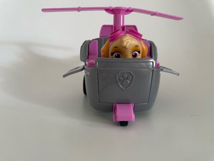 skye paw patrol