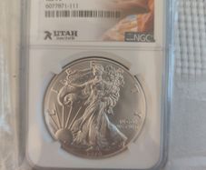 2020 MS70 NGC American silver eagle 1oz coin