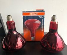 2 250w Siccatherm Light Bulbs