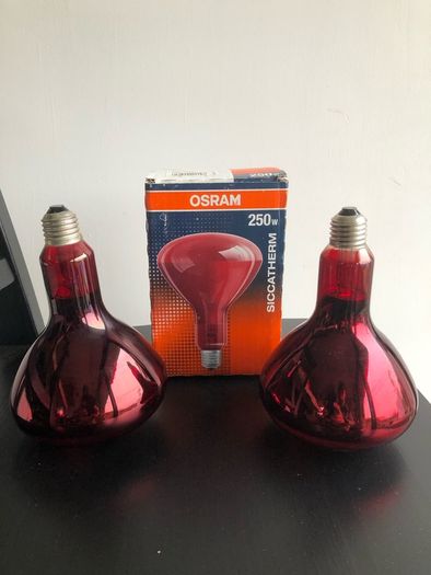2 250w Siccatherm Light Bulbs