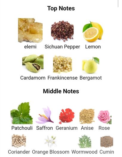 Amouage Outlands