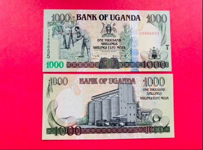 Uganda  1000  Shillings  2005   Pick  43a.   ( Uncirculated. )