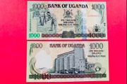 Uganda  1000  Shillings  2005   Pick  43a.   ( Uncirculated. )