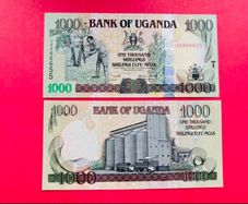 Uganda  1000  Shillings  2005   Pick  43a.   ( Uncirculated. )