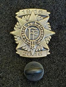 1916 / 2016 , irish army, commerative lapel pin.