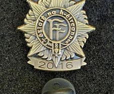 1916 / 2016 , irish army, commerative lapel pin.