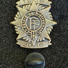 1916 / 2016 , irish army, commerative lapel pin.