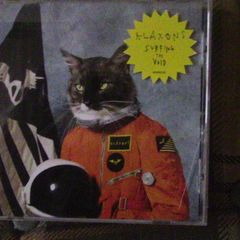 Klaxons - Surfing The Void CD