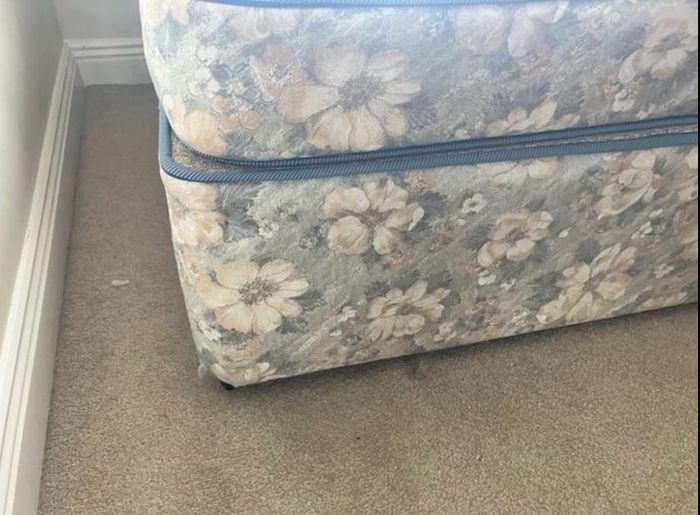 Single bed & mattress