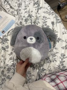 Squishmallow