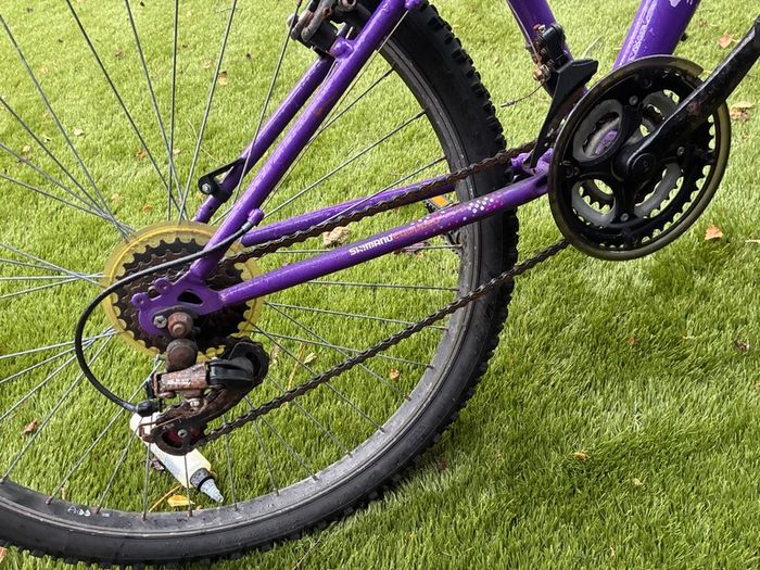 Apollo Inspire Girls Mountain Bike - Purple and Pink