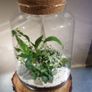 Lantern large - white H38 x W25 cm Image 4
