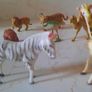 Vintage Animal Zoo set Image 5