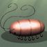 Pillbugs