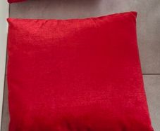 Cushion