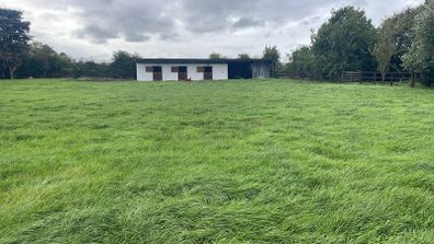 Stables & land