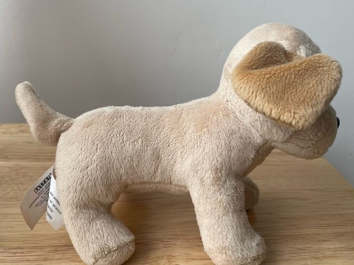 Our generation Puppy Teddy