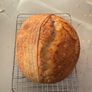 Sourdough starter Image 8