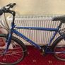 bike Image 5