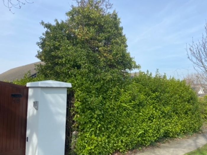 Professional Garden Maintenance - Dublin & North Wicklow