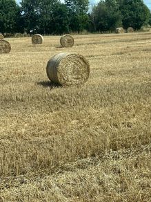 Straw