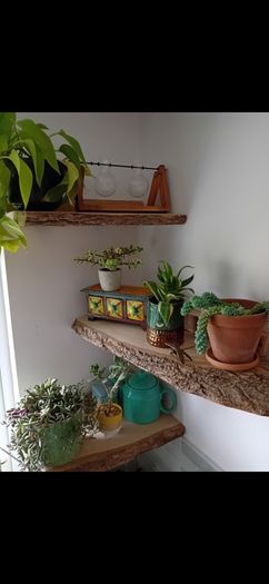 Live edge Timber
