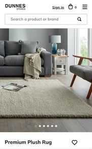 Large rug