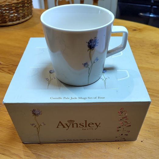 Camile pale jade mugs set of four
