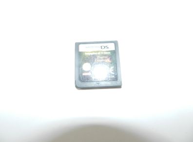 Nintendo D S