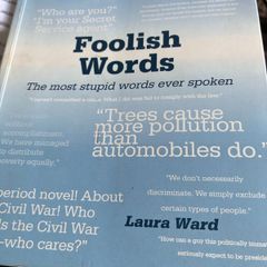 Foolish Words