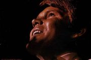 Glen Campbell Live LP