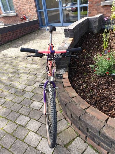 Raleigh Moonshine MTB