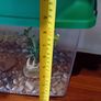 Fish tank Image 2