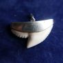 Vintage Sterling Silver Mounted Sharks Tooth Pendant Image 4