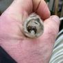 Plumbing Pipe Image 2