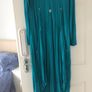 designer dress and coat Image 4