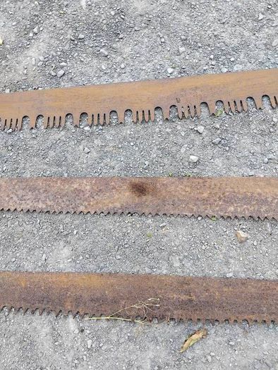 Three vintage crosscut saw blades,