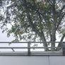 Rhino Roof Rack for Ford Transit Image 2