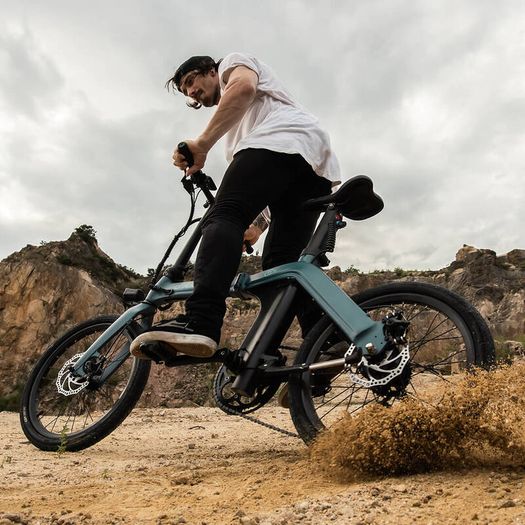 FIIDO D11 Electric Mountain Bike with mudguard and light