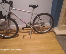 apollo Twilight mountain bike
