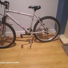 apollo Twilight mountain bike