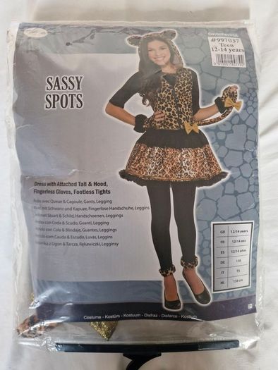 Fancy Dress Halloween Cat costume dress