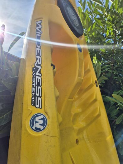 kayaks