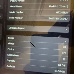 iPad Pro 11 grey screen broken still working