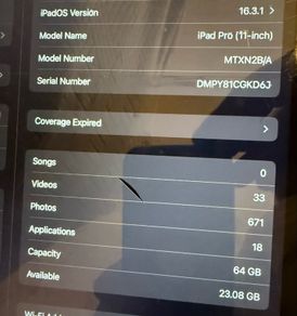 iPad Pro 11 grey screen broken still working
