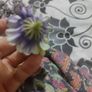 flowers Image 6