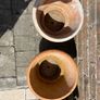 Terracotta Plant Pots Image 6