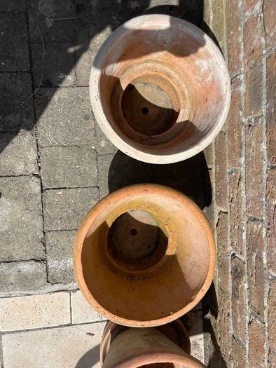 Terracotta Plant Pots