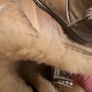 Ugg boots Image 8